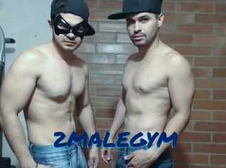 2MALEGYM