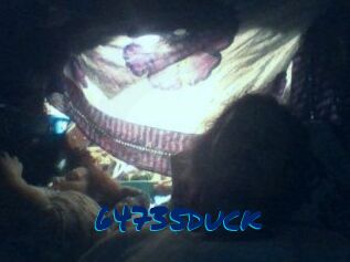 64735duck