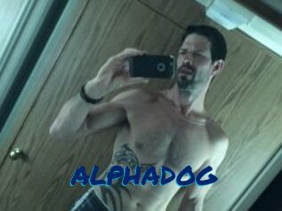 ALPHADOG