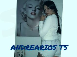 ANDREARIOS_TS