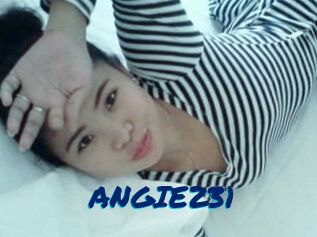 ANGIE231