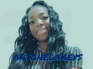 ANTONELAKEYS