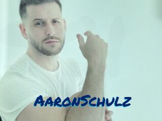 AaronSchulz