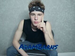 AdamBarns