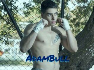 AdamBull