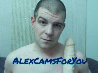 AlexCamsForYou