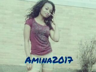 Amina2017