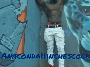 Anaconda11inchescock