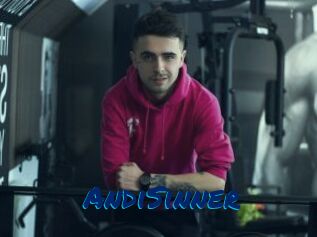 AndiSinner