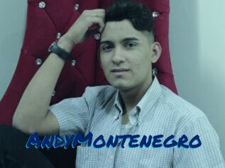 AndyMontenegro
