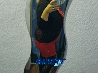 Aniett