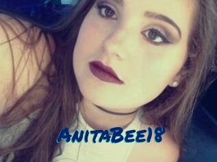 AnitaBee18