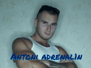 Antoni_adrenal1n