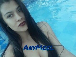AnyMeel