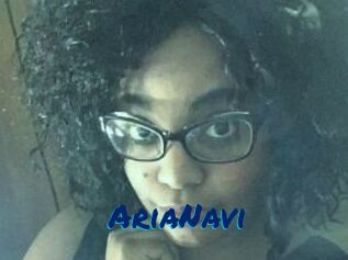 AriaNavi