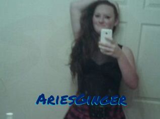 AriesGinger