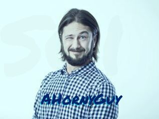 AHornyGuy