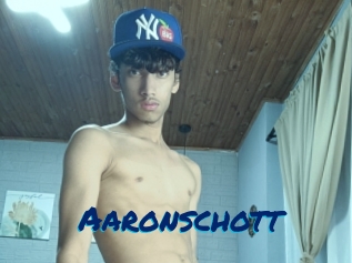 aaronschott Sexe City