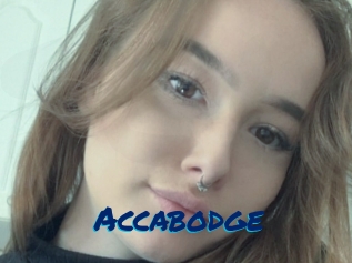 Accabodge