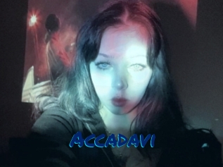 Accadavi