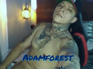 Adamforest