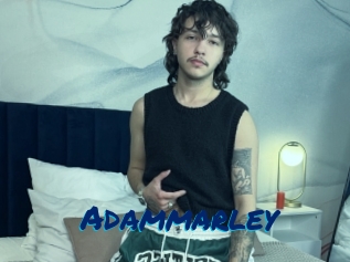 adammarley Sexe City