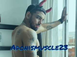 Adonismuscle23