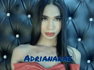 Adrianarae