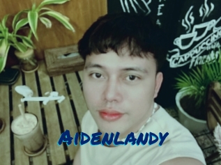 Aidenlandy
