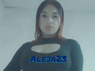 Aleja23