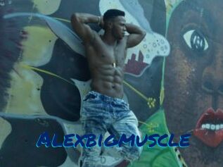 Alexbigmuscle