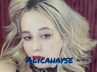 Alicahayse