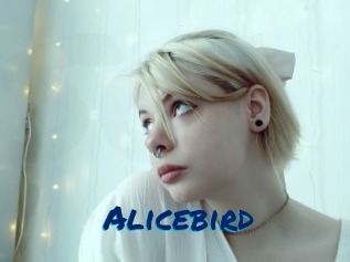 Alicebird