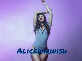 Alicedarwish