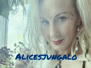 Alicesjungalo