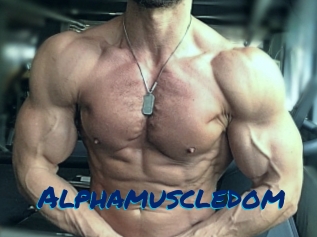alphamuscledom Sexe City