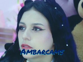 Ambarcams