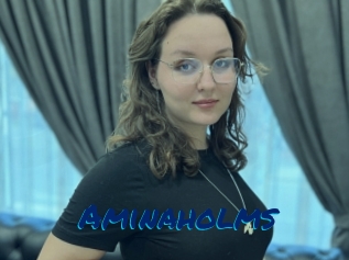 Aminaholms