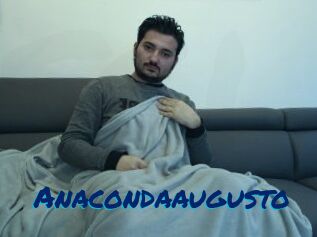 Anacondaaugusto