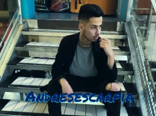 Andresescarpia