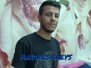 Andresgreys