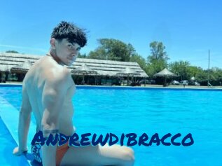 Andrewdibracco