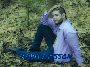 Andywatsson