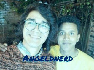 Angeldnerd