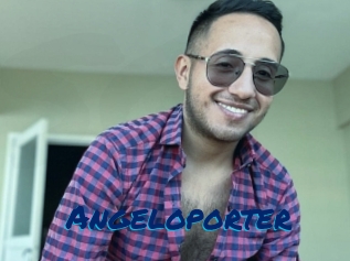 Angeloporter