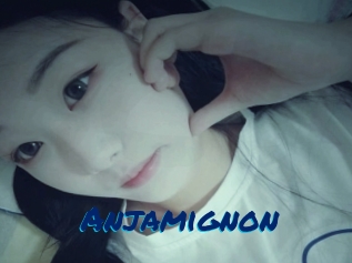 Anjamignon