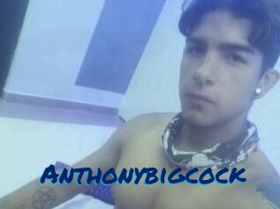 Anthonybigcock