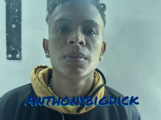 Anthonybigdick