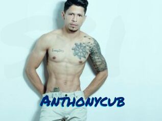 Anthonycub