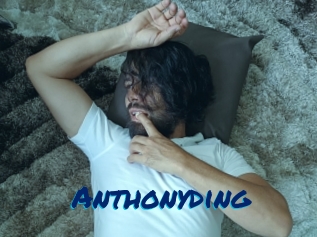 anthonyding Sexe City